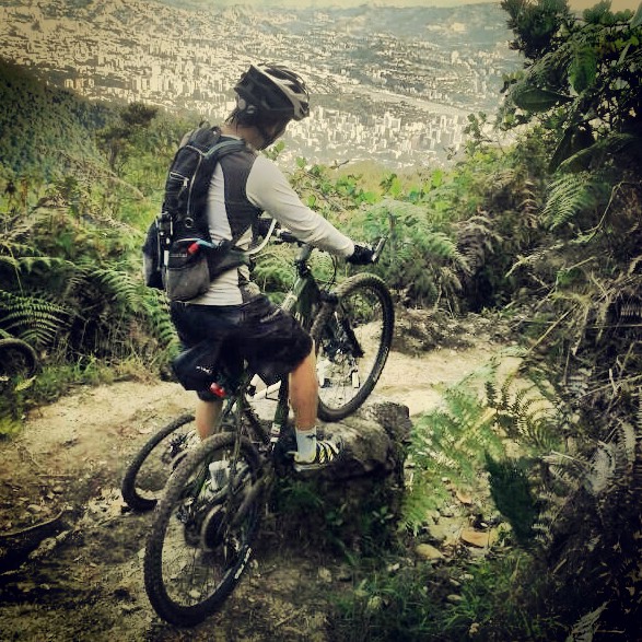 Adrian Carreño Montañez